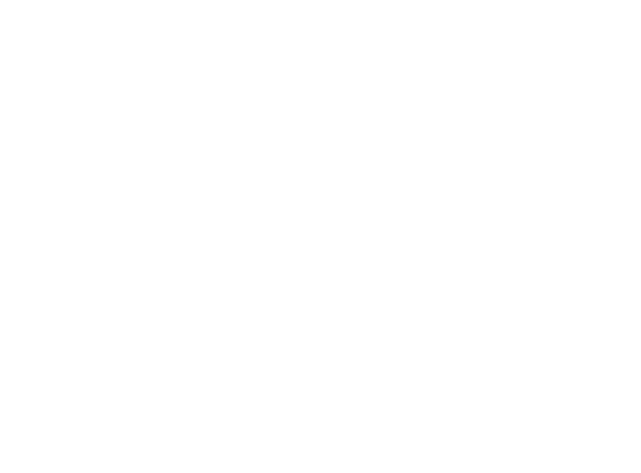 Boltx Logo